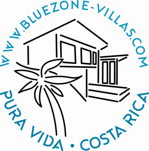 Bluezone Logo bunt ohne Rand