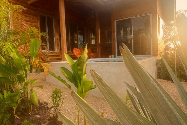 2DB844EE-245F-4B0A-938A-D989F8BA1E08